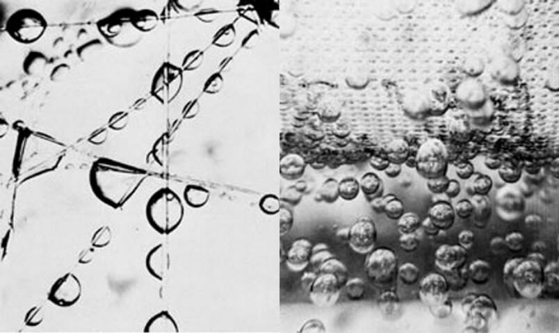 5f1e39110deb7.jpg 5f1e39110deb7.jpg